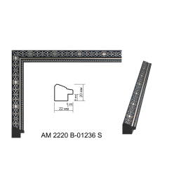 AM2220B-01236S