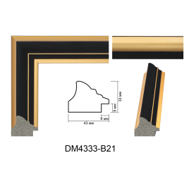 DM4333-B21